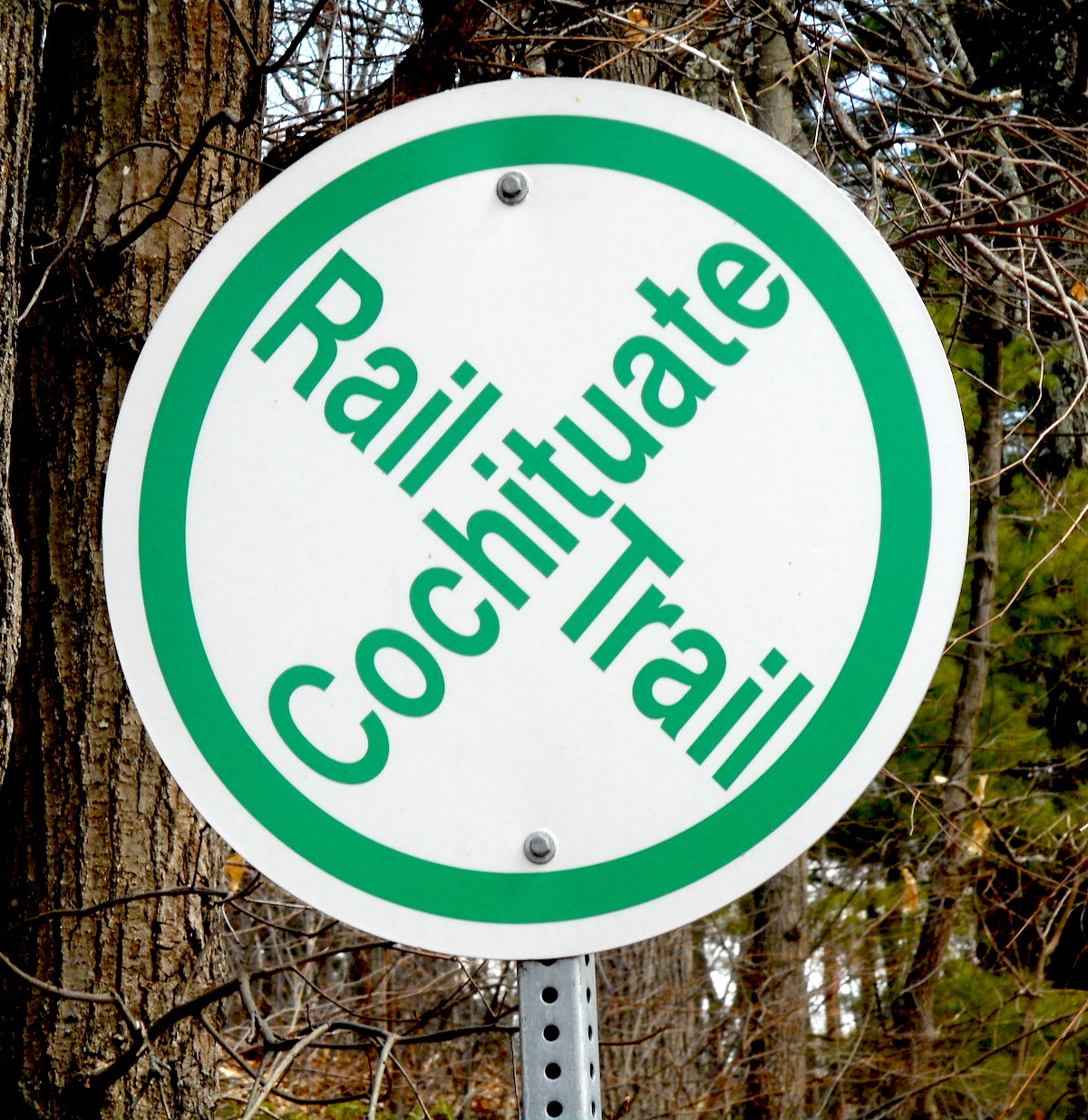 Cochituate Rail Trail