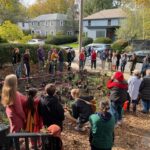 Group Plants Cambridge Front-Yard Forest