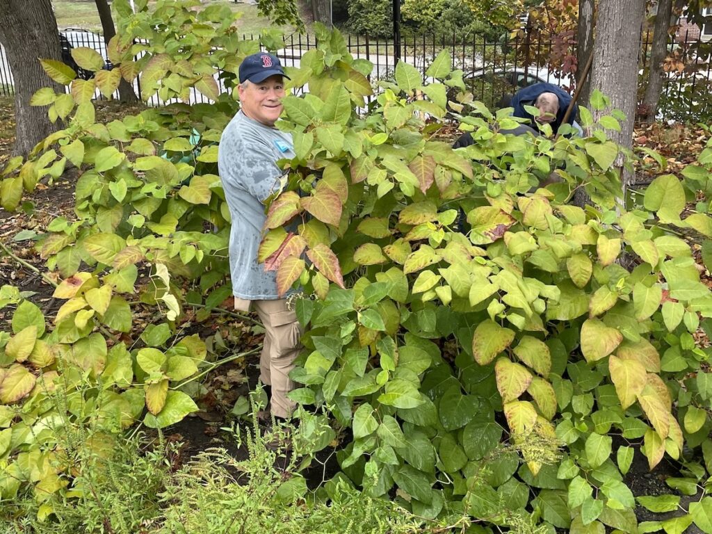 Belmont Serves volunteers. Photos by Jeffrey North.
