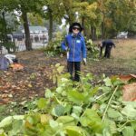 Belmont Serves Subdues Center Knotweed