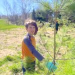 Child planting a pine tree